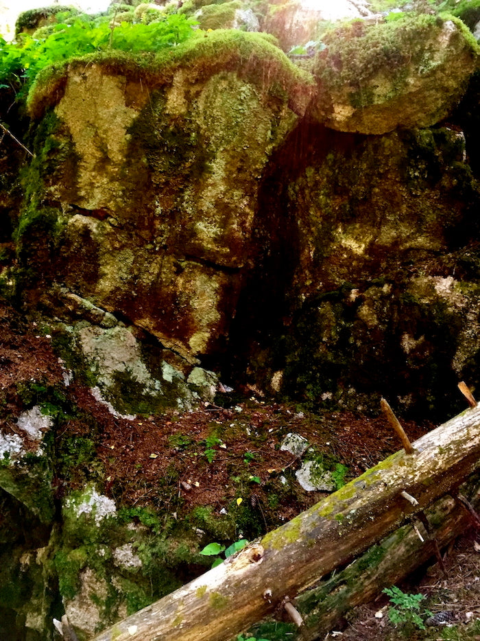 Moss-covered ancient rocks and a fallen tree trunk in a deep forest, evoking a sense of introspection and peace.