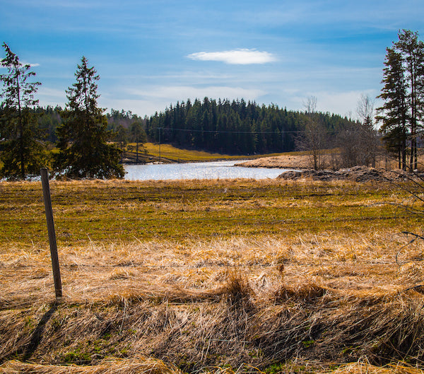 A peaceful spring landscape in Rusko, featuring a winding river, open fields, and forest.