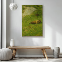 Majestic Mountain 73 - Marmot in the Alpine Grass Canvas Art
