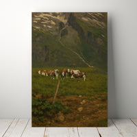 Gallery Wall Stand Style with photo frames