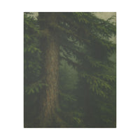 Majestic Mountain 62 - Trunk and Branch Canvas Art