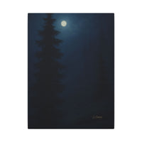 Majestic Mountain 66- Forest by Moonlight Canvas Art