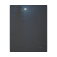 Majestic Mountain 66- Forest by Moonlight Canvas Art