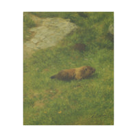 Majestic Mountain 73 - Marmot in the Alpine Grass Canvas Art