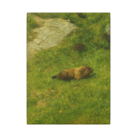 Majestic Mountain 73 - Marmot in the Alpine Grass Canvas Art