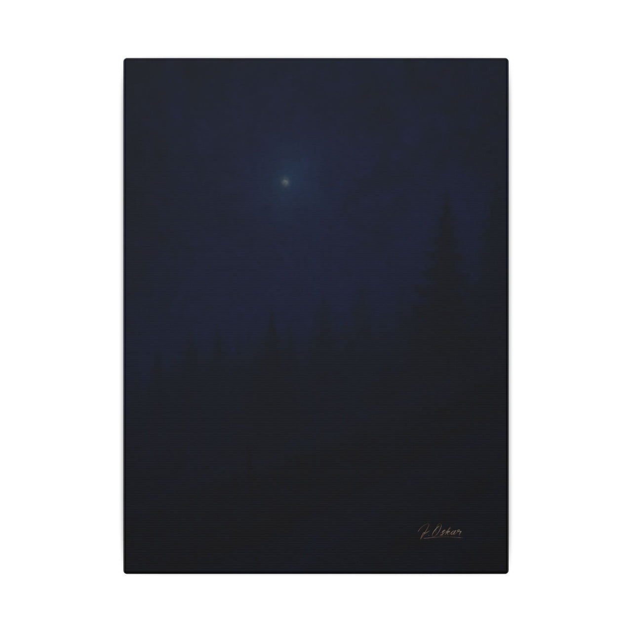 Majestic Mountain 69- Midnight Mist on the mountain Canvas Art