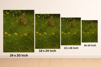 Majestic Mountain 36 - Among the Buttercups Canvas Art