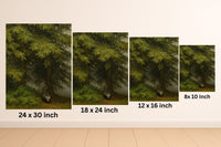 Majestic Mountain 56 - Forest Watcher Canvas Art