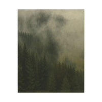 Majestic Mountain 58 - Misty Pine Valley Canvas Art