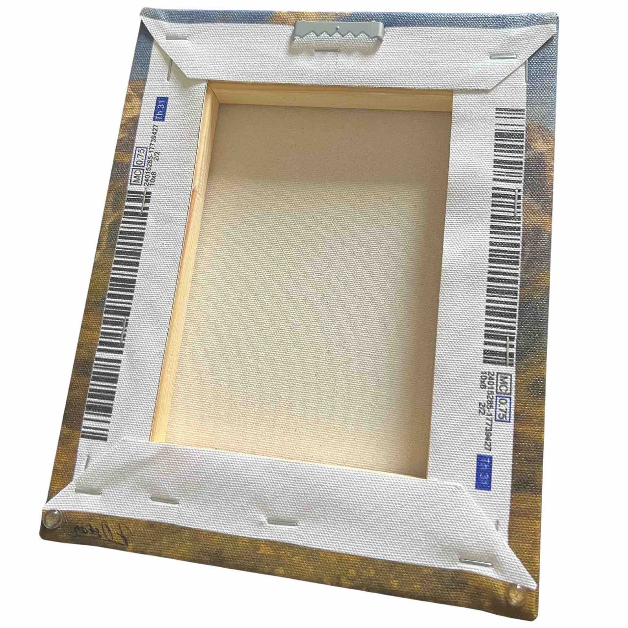 Majestic Mountain 3 - Path Through the Windswept Valley Canvas Art